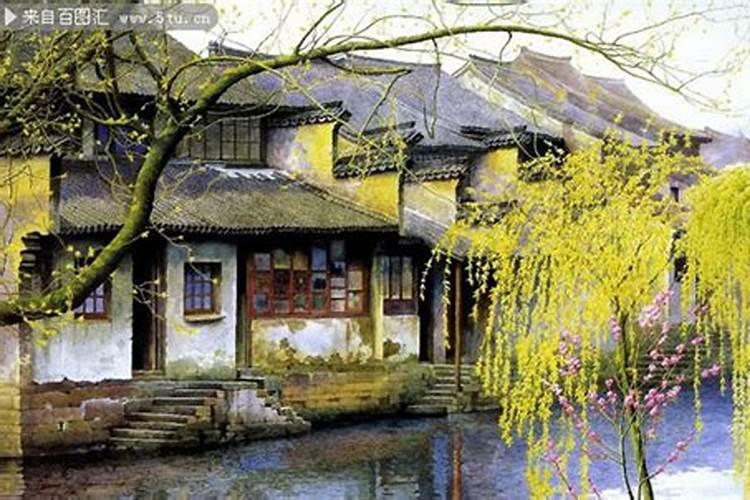 梦见秧子爬满墙是什么意思