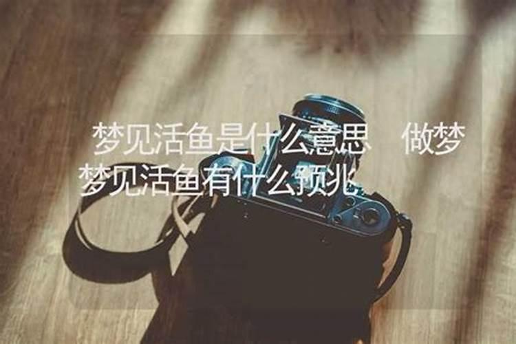 女人梦见活鱼是吉兆发财