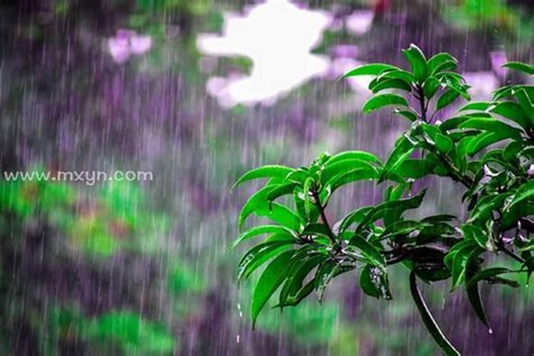 梦见大暴雨是什么意思？
