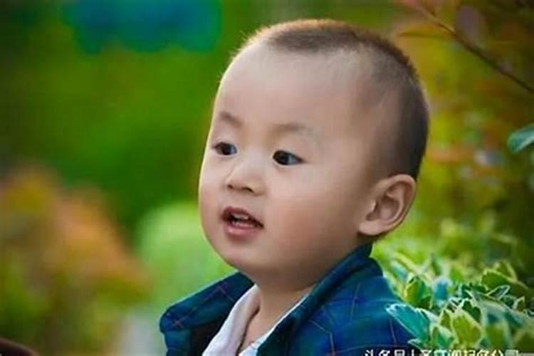 2019年清明节出生的属猪的宝宝好听的小名乳名