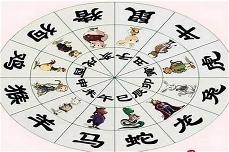童子命的人的手掌特征