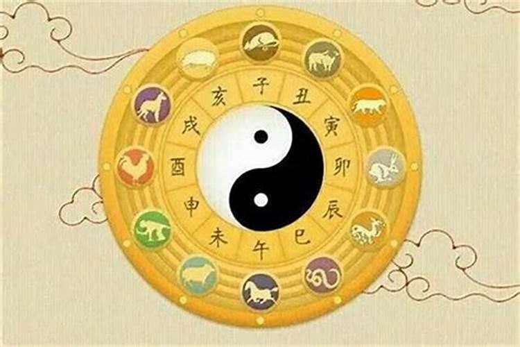 梦见和白发老人握手