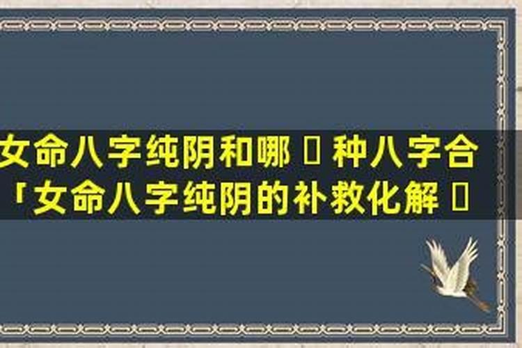 女命全是阴富贵纯阴八字命运