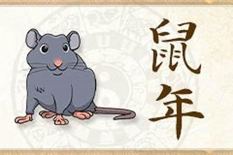 2025属鼠今年有一难 属鼠人2025年运势
