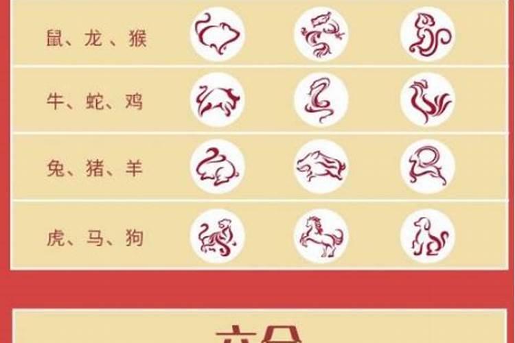 属蛇和什么属相相冲
