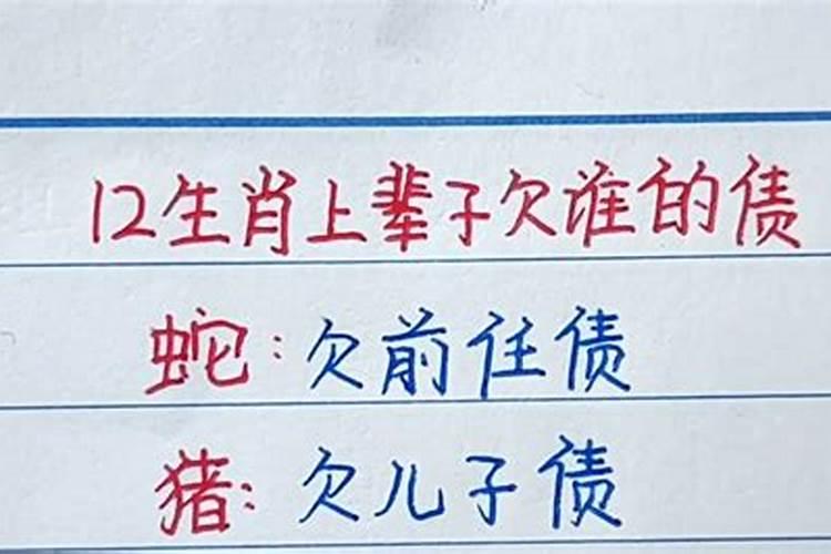 2021年属相年份对照表,生肖年份对照表2020
