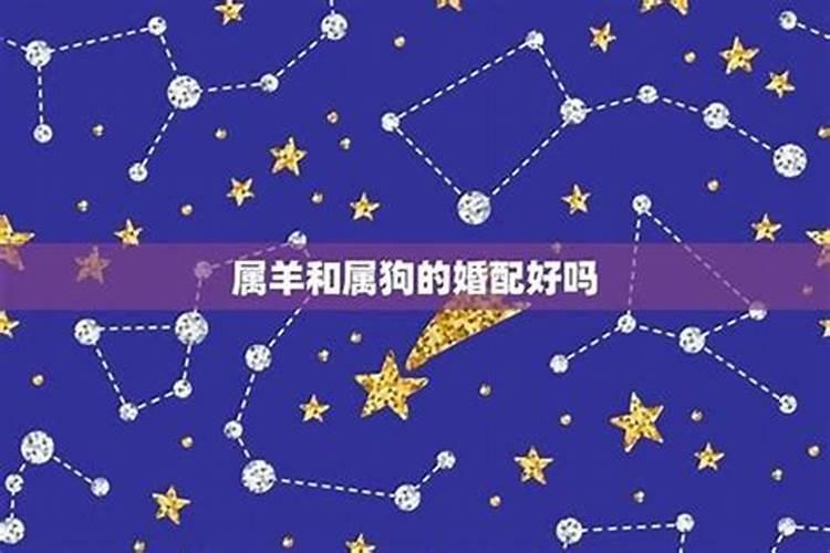 梦见被老虎追咬但脱险