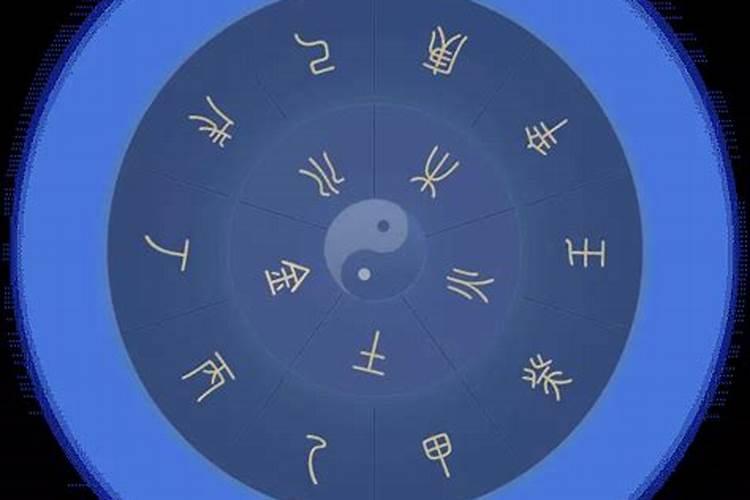 过冬至600字的作文六年级