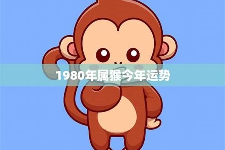 有没有羊鼠过一辈子的