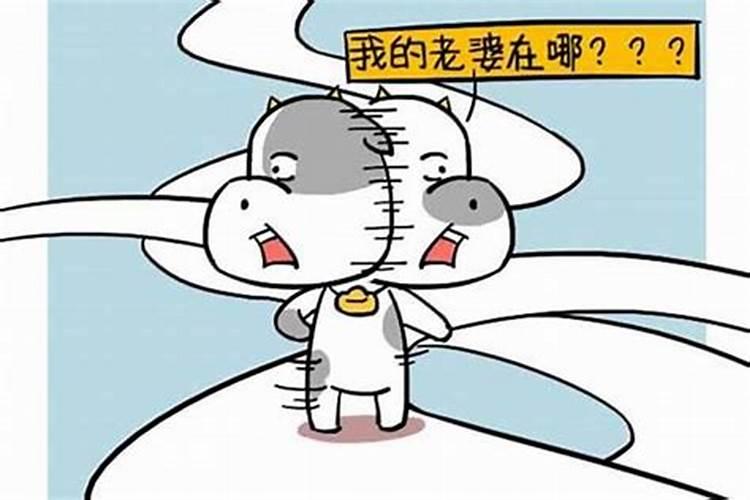 2025年犯太岁属相是哪五个