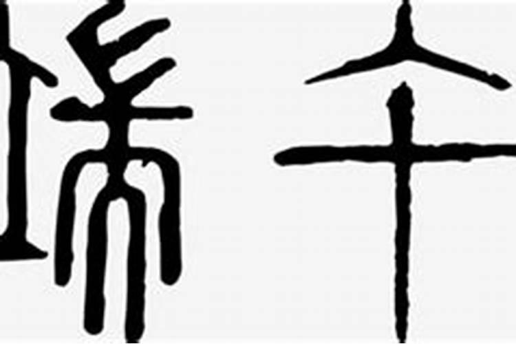 生肖属鼠十月初一出世11月15日八字命理分析