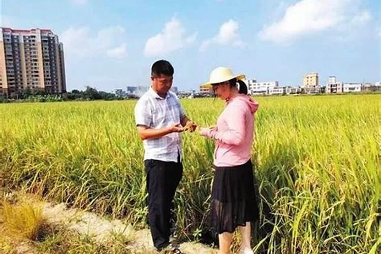 想知道潮阳人结婚的风俗习惯？