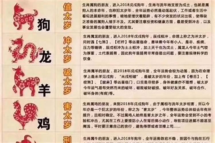 2024年属蛇犯太岁出门注意什么 如何化解