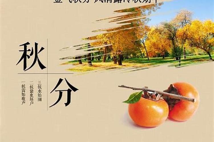 梦见自己掉进厕所里,爬出来时,厕所里的那些白色虫子爬满了我一身。