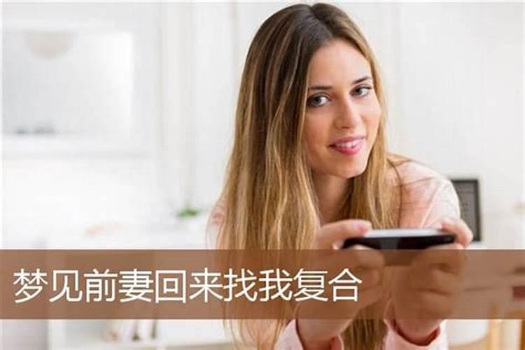 属猪的人犯太岁一览表,属猪人犯太岁年份
