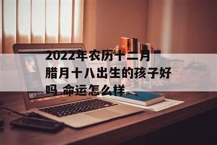 1997属牛2025年运势运程如何