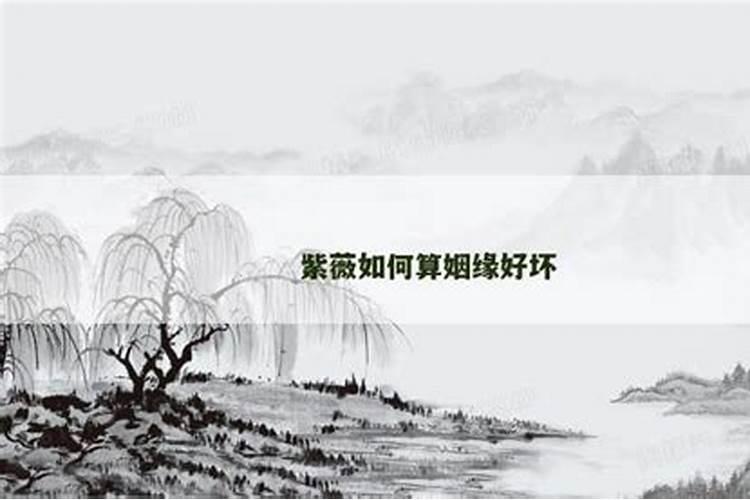 紫微命盘配对 紫微斗数夫妻宫看感情？