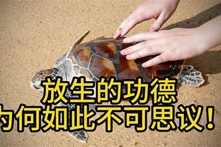 放生能提高财运吗,怎样才能提高自己的偏财运
