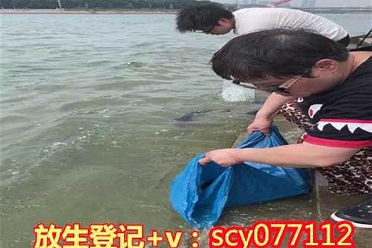 放生带来的好运的动物 增加运气放生放什么