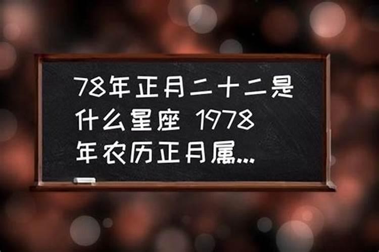 属马是什么星座1978,2002年属马的是什么命