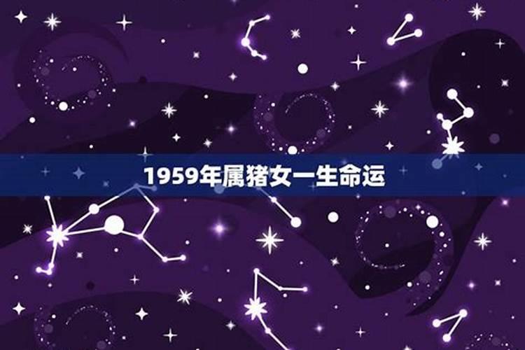 2025属猪人的全年运势如何