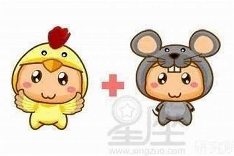 生肖知识历年犯太岁的生肖对照表