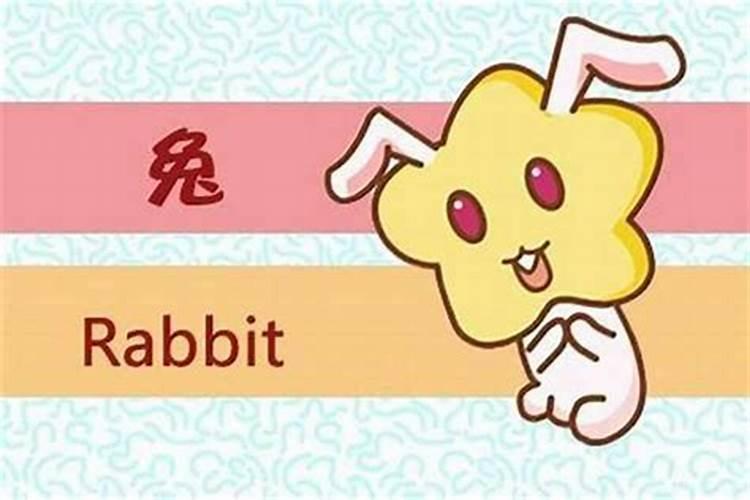 女属虎和男属兔在一起合适吗？