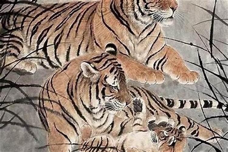 属猴人在2025年的财运如何？