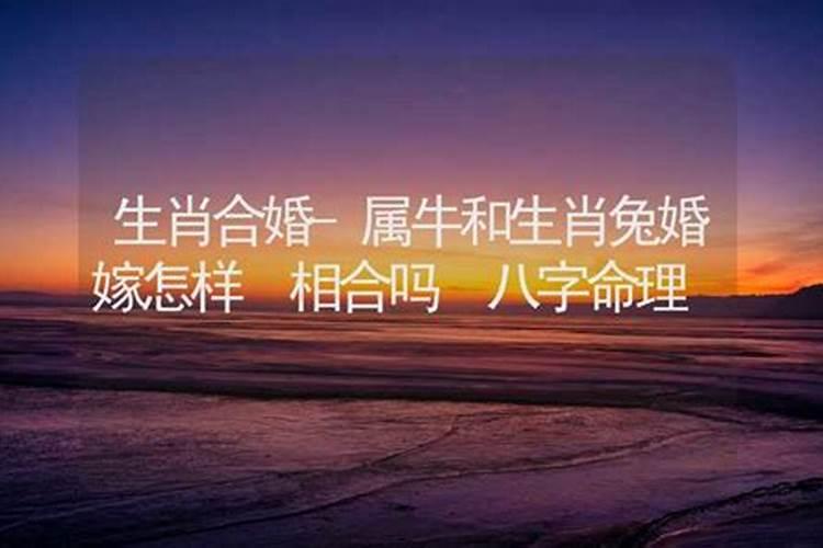 属虎刑太岁什么意思？属虎刑太岁怎么化解