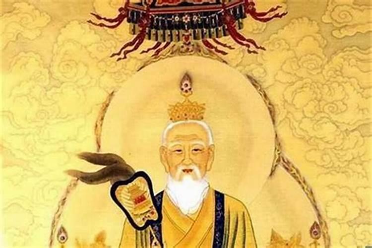 梦见自己的泰迪狗生了8只小狗 死了一只 什么意思？求大神解梦