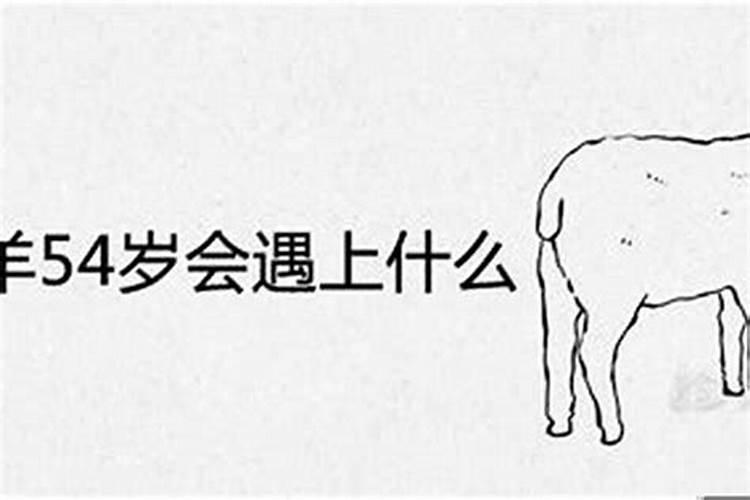 属羊的年龄表2022虚岁,2022年属羊人全年运势
