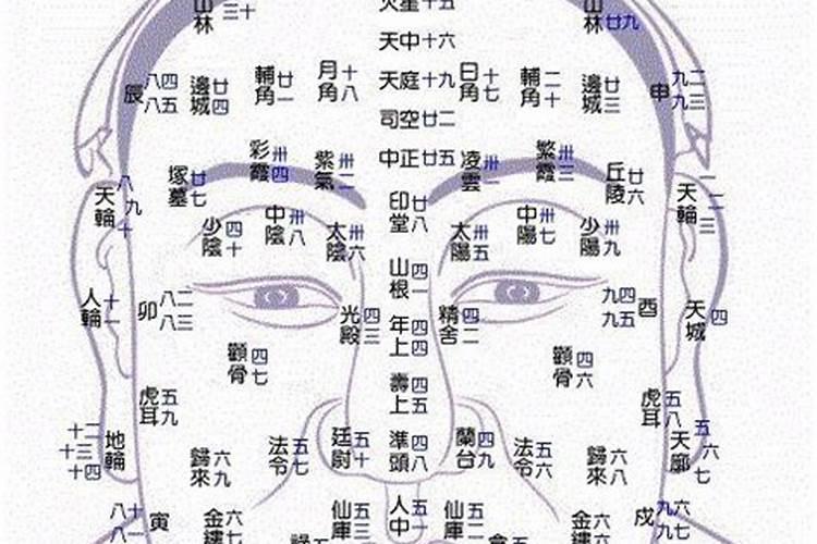 人的面相会影响人的运势吗？