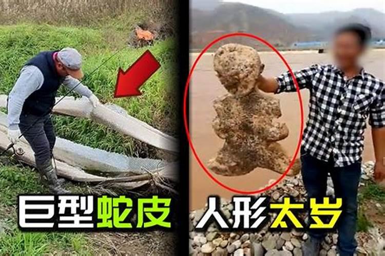 挖到太岁的人下场怎样了 怎么处理化解