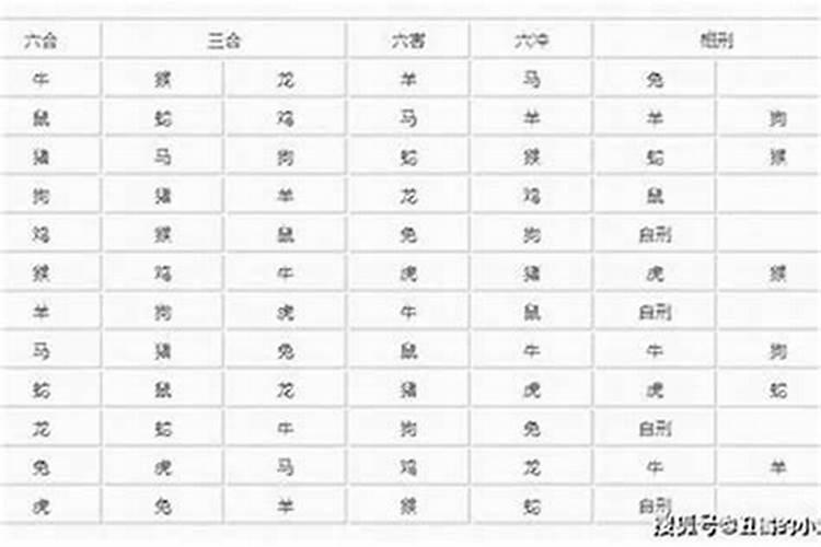 躲春的生肖2024 躲春注意事项？