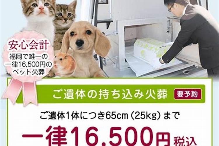 跟在火葬场工作人在一起会掉运气吗