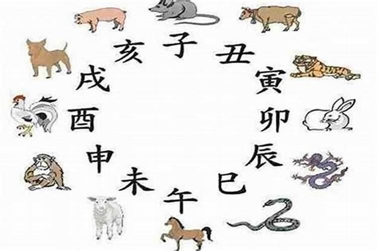 1996的鼠一生婚姻状况