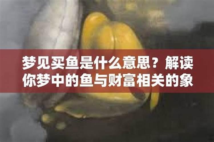 2025属兔的犯太岁吗