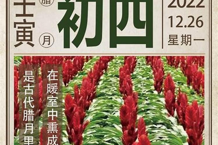 农历1984年腊月初四的鼠命运如何