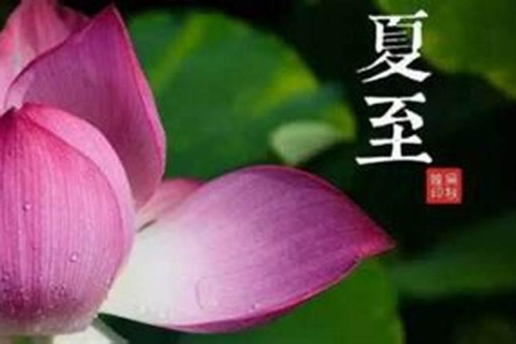 1999年属兔婚配龙怎么样了 属相相害要做改变