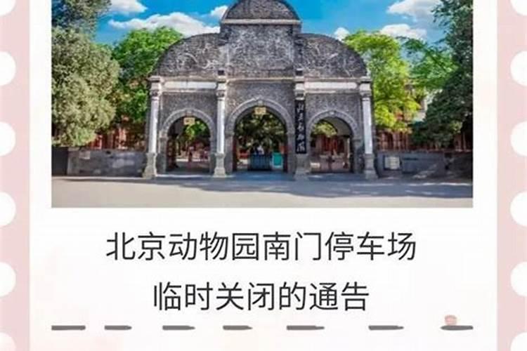 童子命怎么化解？化解之后会怎么样？