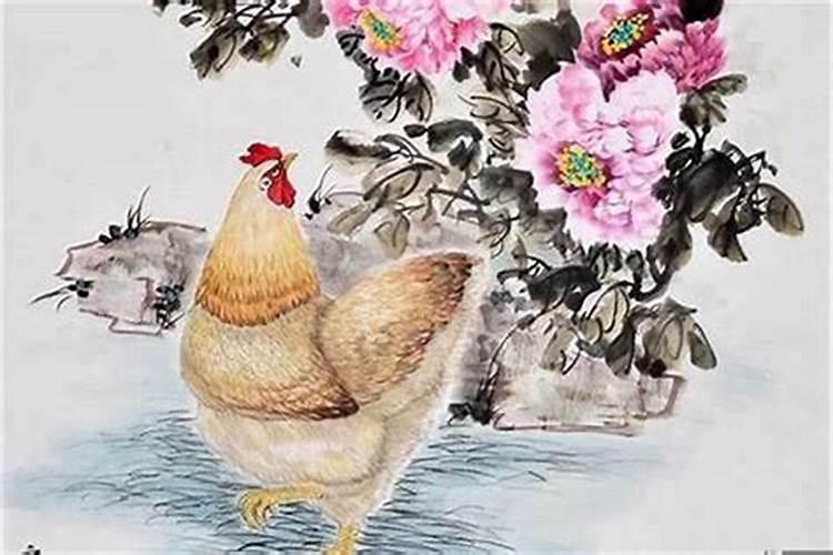 1981年属鸡人的运程