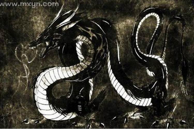 怀孕梦见黑龙是什么意思