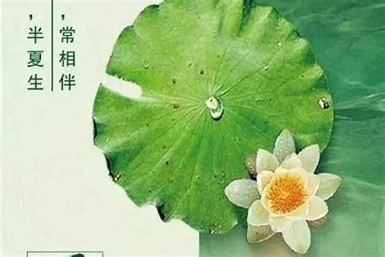 夏天最长的白天是哪一天