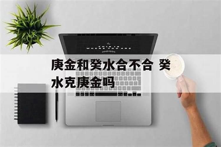 水命和金命的人合不合