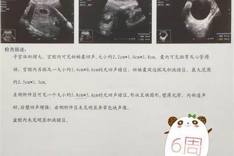 如何看宝宝五行缺什么