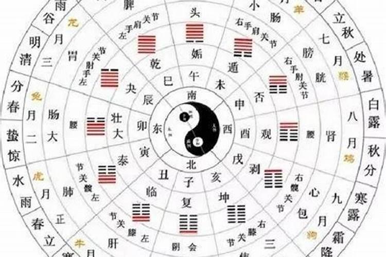 十二生肖冬至什么最多最旺