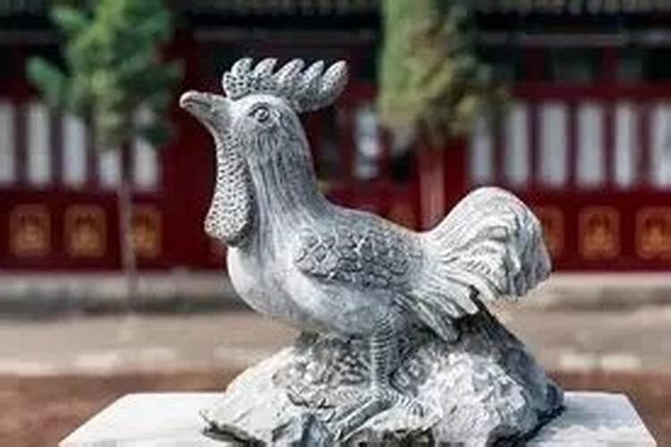 属猪的年龄表