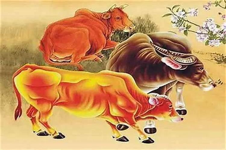 1985年阴历冬月辰时属牛是什么命