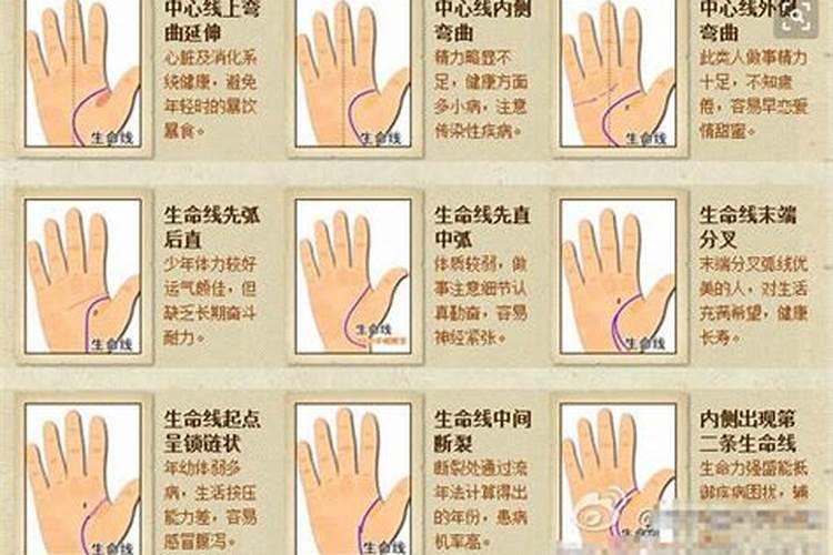 十二生肖年龄表