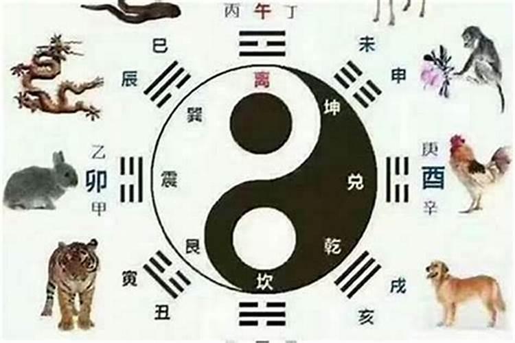 属蛇的和什么属相最配与生肖猴天生一对？
